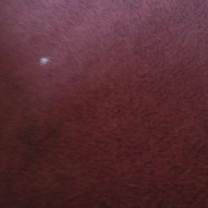 Meet your Posher, Bridget